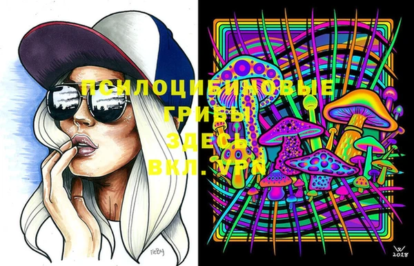 ПСИЛОЦИБИНОВЫЕ ГРИБЫ Гусь-Хрустальный