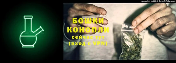 бошки Гусев