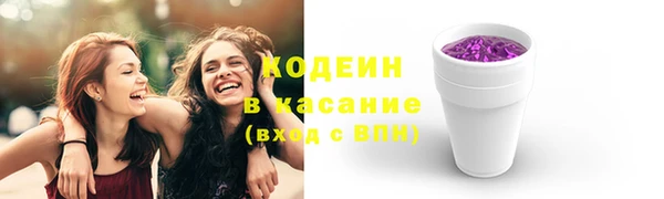 ПСИЛОЦИБИНОВЫЕ ГРИБЫ Гусь-Хрустальный