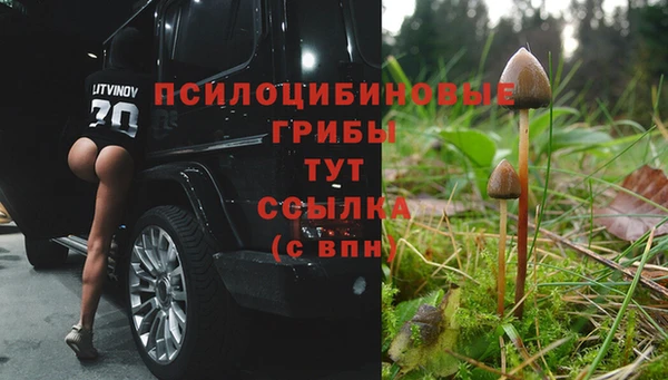 ALPHA PVP Гусиноозёрск