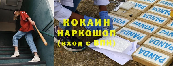 бошки Гусев