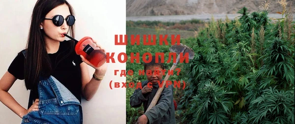 ПСИЛОЦИБИНОВЫЕ ГРИБЫ Гусь-Хрустальный
