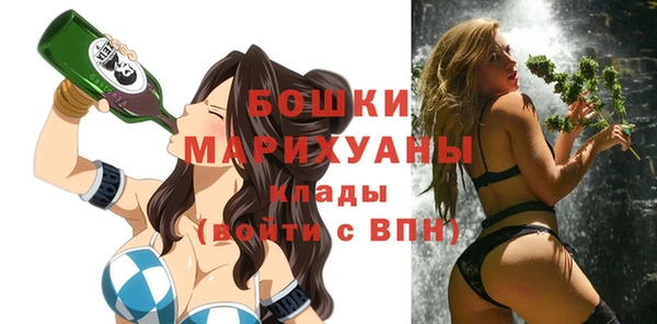 ПСИЛОЦИБИНОВЫЕ ГРИБЫ Гусь-Хрустальный
