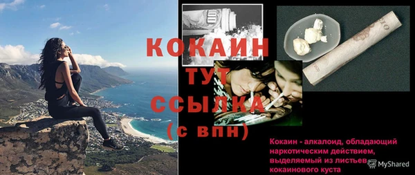 ПСИЛОЦИБИНОВЫЕ ГРИБЫ Гусь-Хрустальный